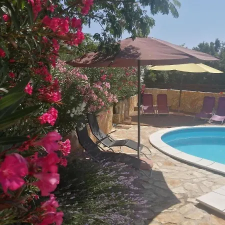 Sunny Pool *